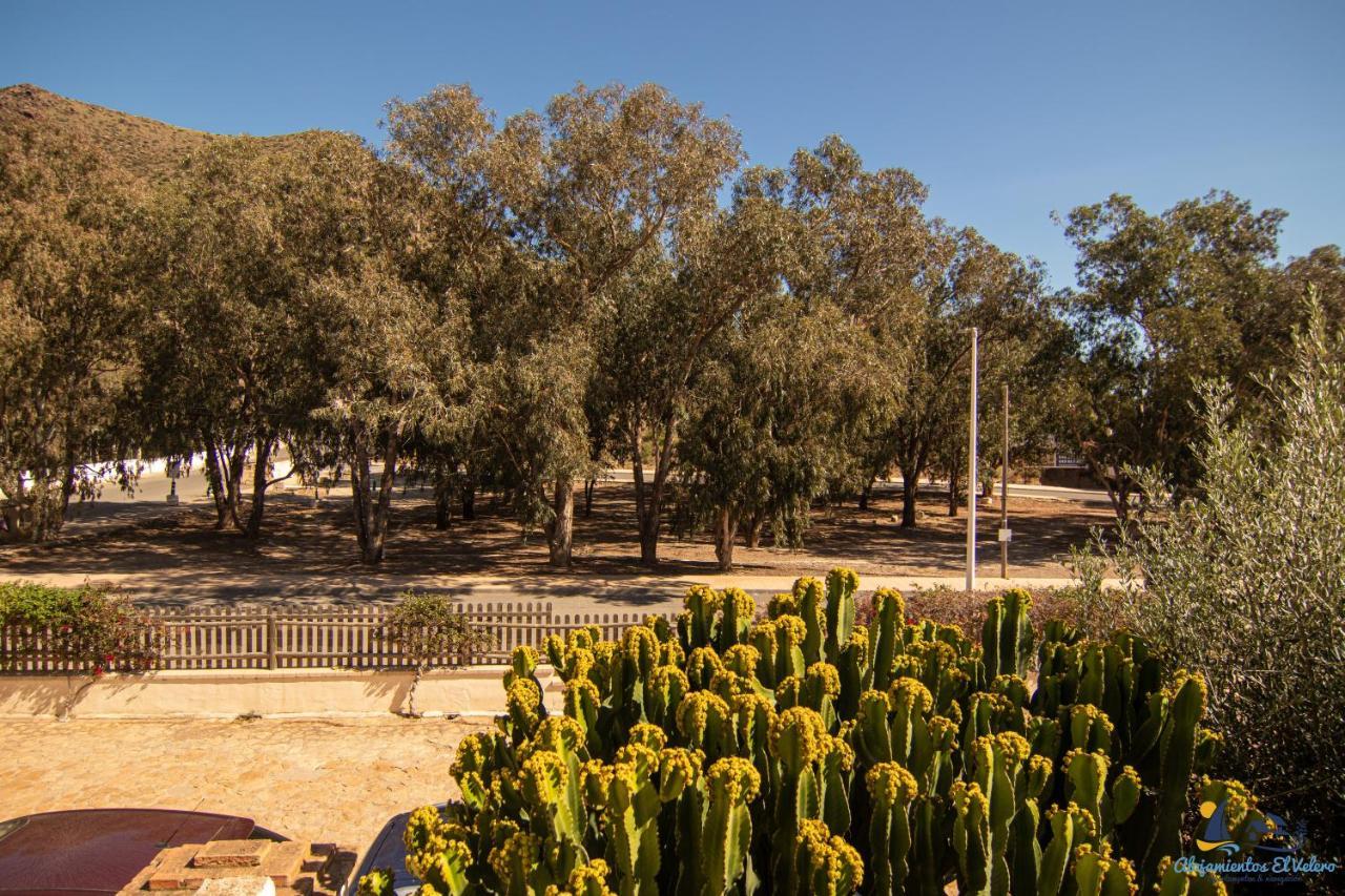 Hébergement de vacances El Velero Sotillo Cactus Piscina San José