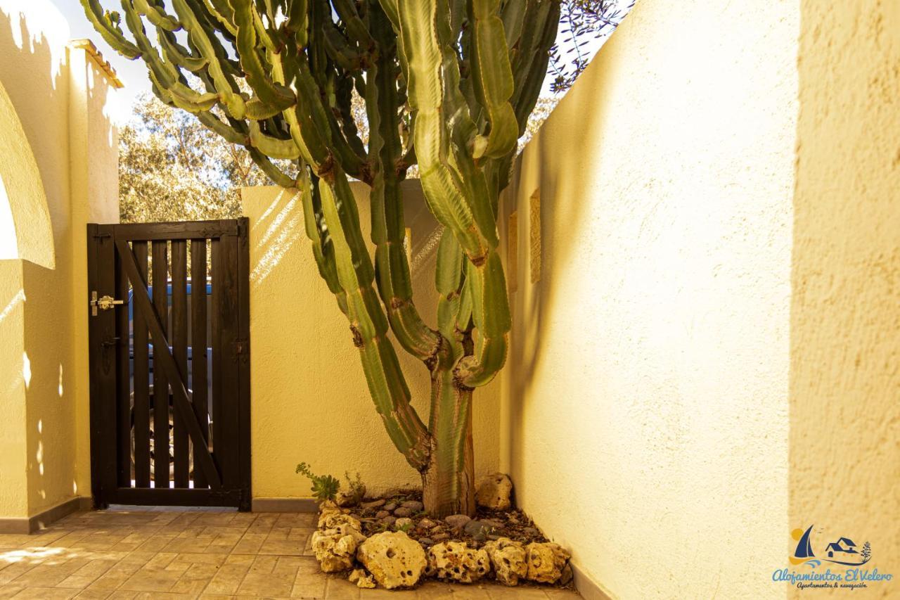 Hébergement de vacances El Velero Sotillo Cactus Piscina *